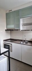 Icon @ Pasir Panjang (D5), Apartment #505711711